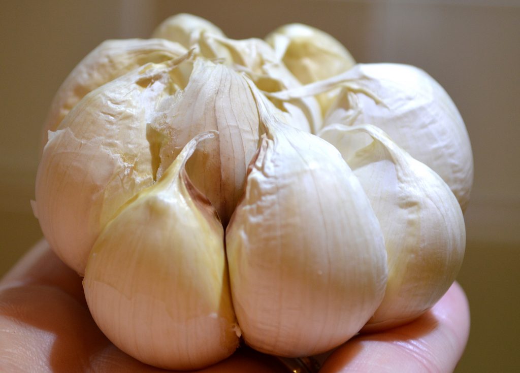 Peeled Paper From Garlic Head for Roasting