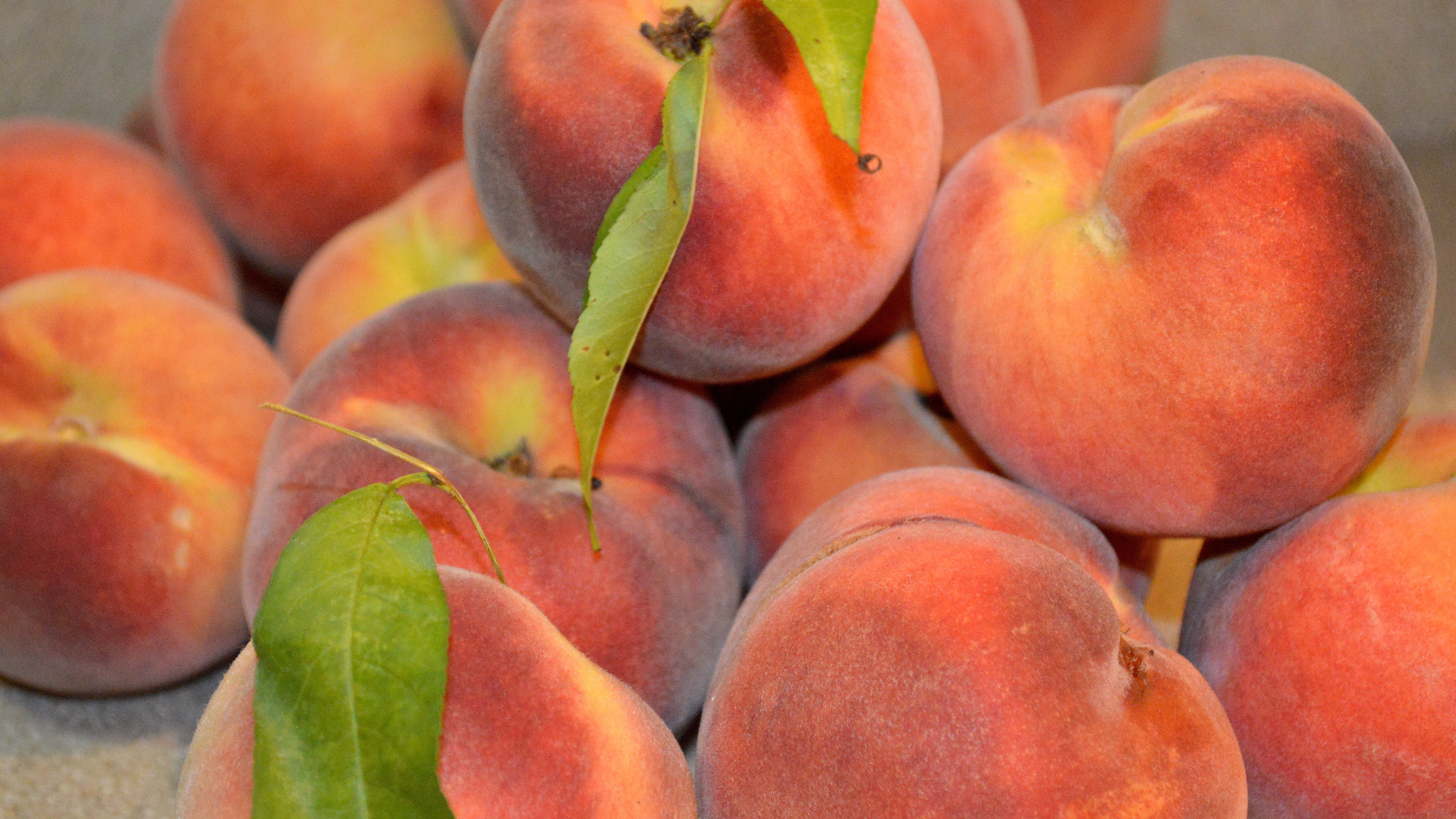 Summer Peaches
